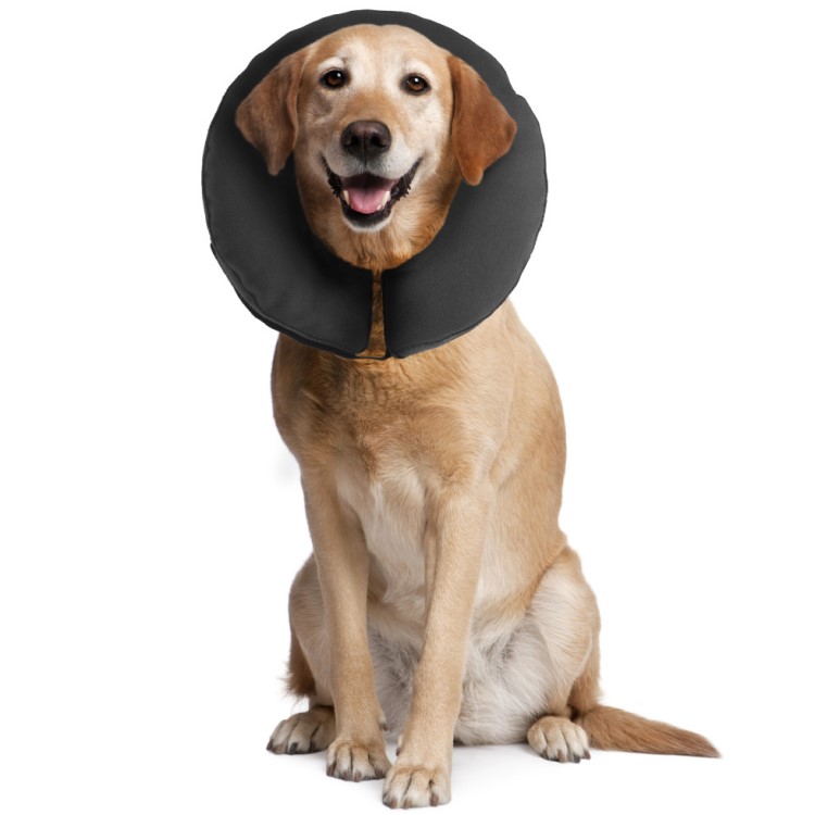 Inflatable collar