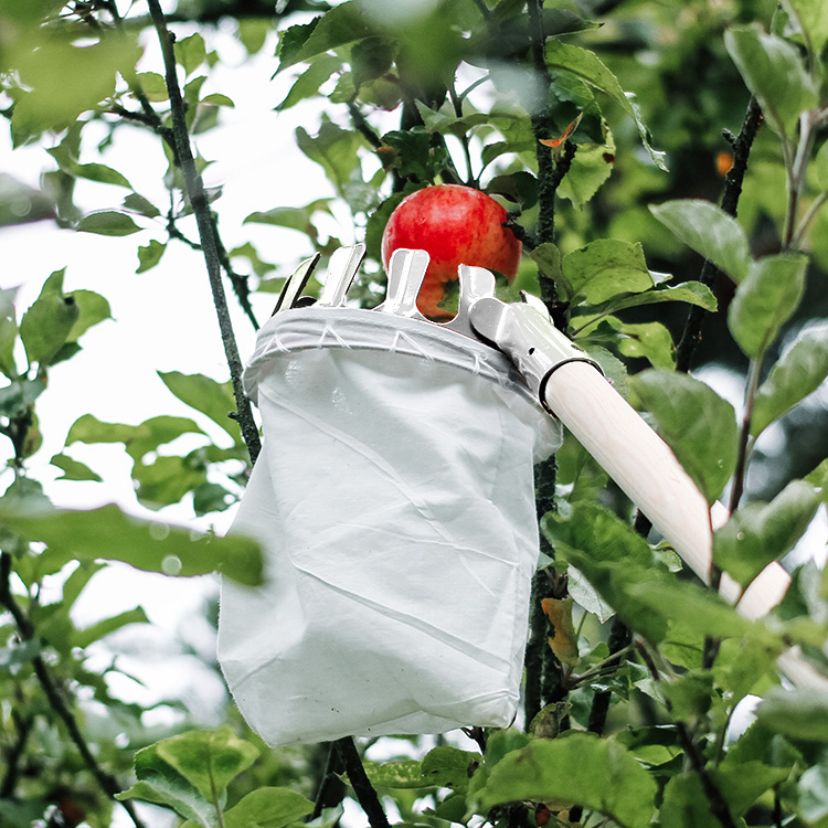 Fruit picker