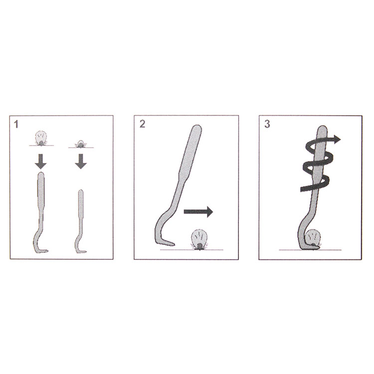 Tick Twister 2-pack