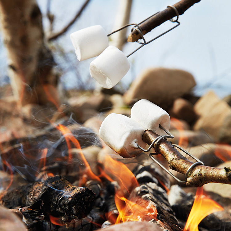 Grill Fork for Sticks, 2 Pack