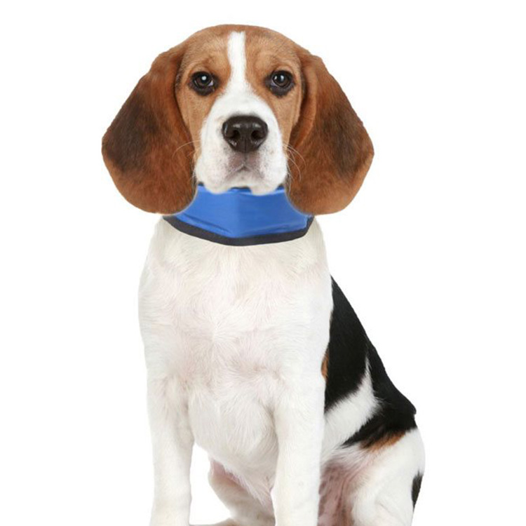 Cooling bandanna for dogs 