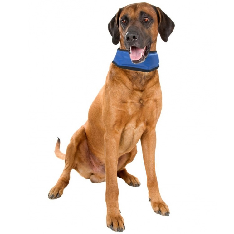 Cooling bandanna for dogs 