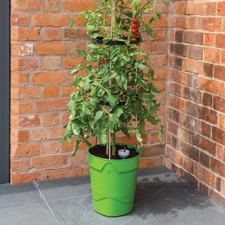 Self-watering pot with plant support