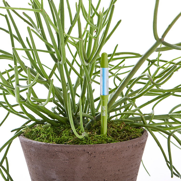 Moisture measurer for potted plants