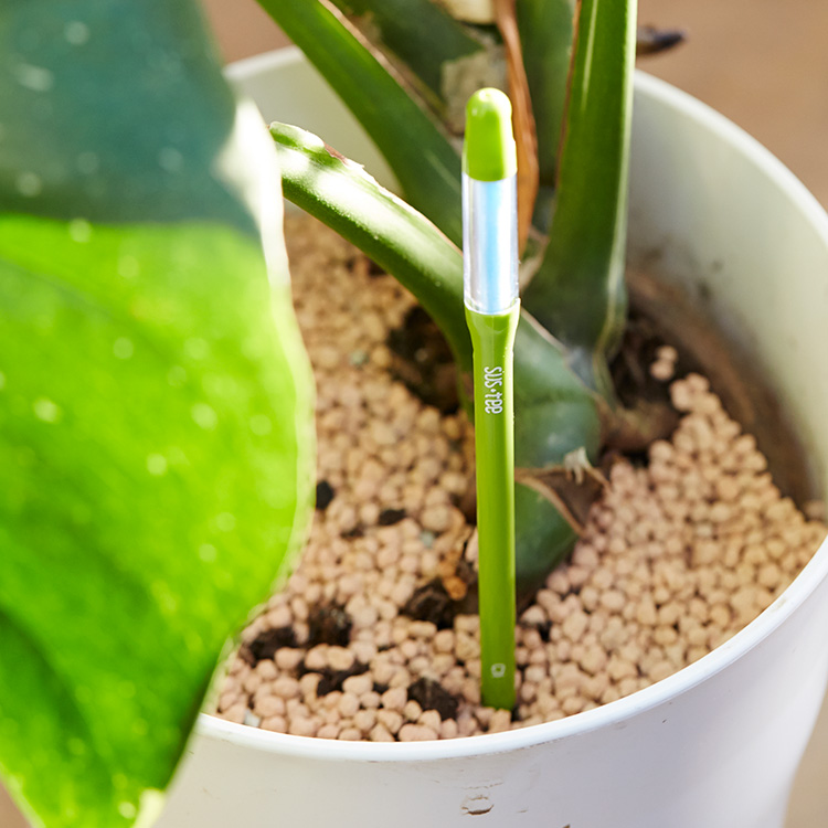 Moisture measurer for potted plants
