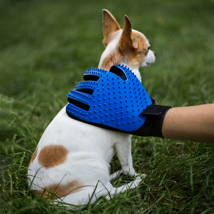 Brush glove for dog & cat