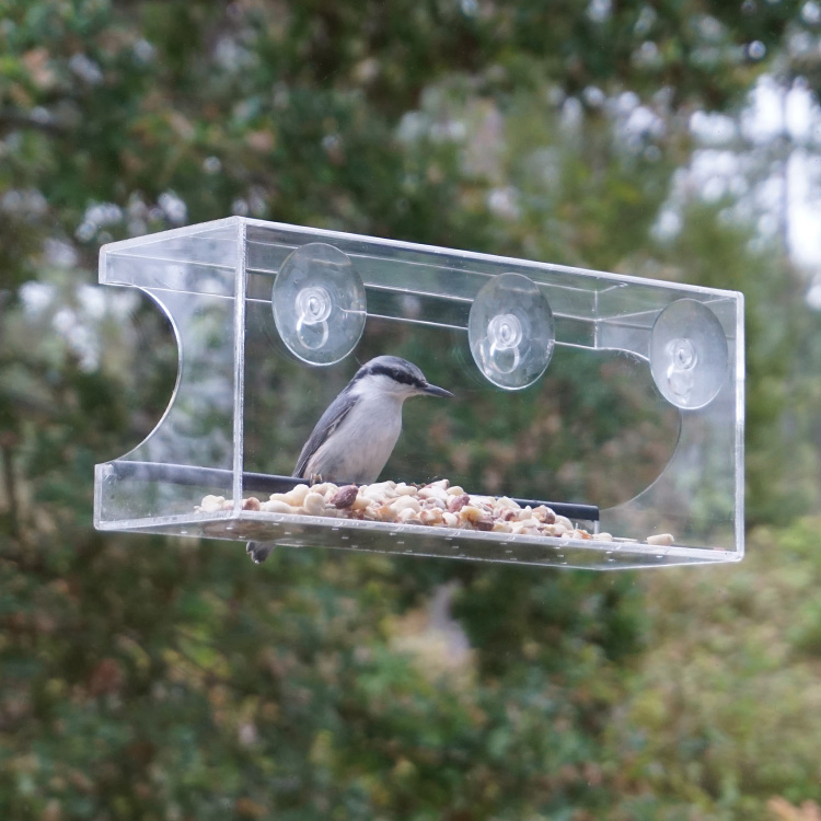 Large Bird Feeder for Windows