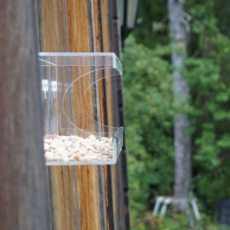 Large Bird Feeder for Windows
