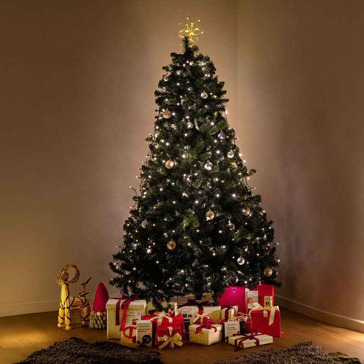 Christmas tree star light