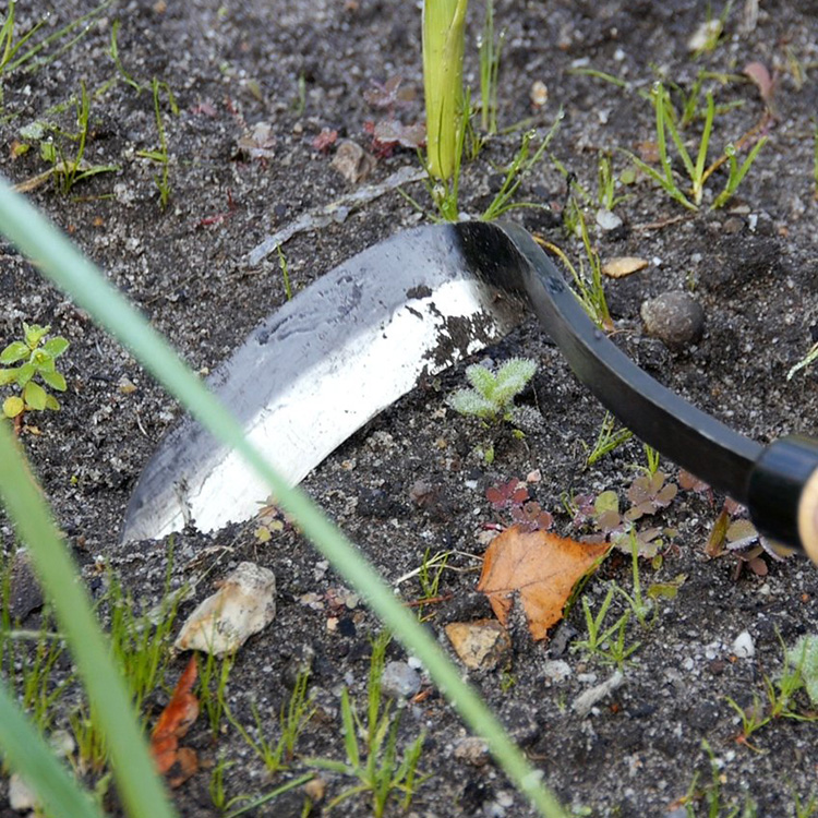 Carbon steel razor hoe