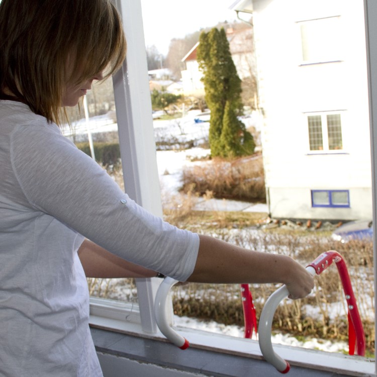 Fire escape ladder
