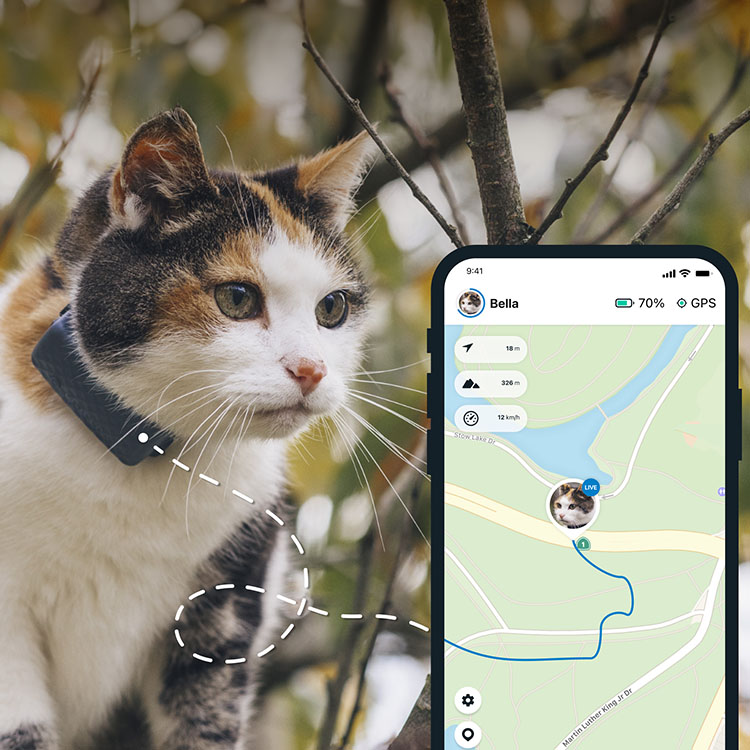 GPS for cats, Tractive