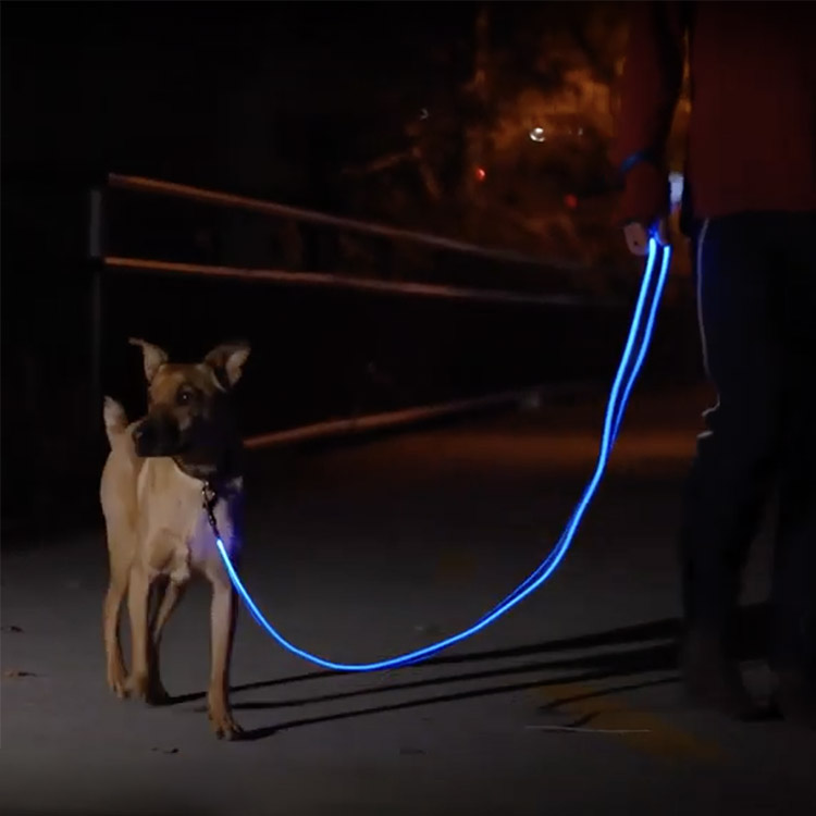 Chargeable leash