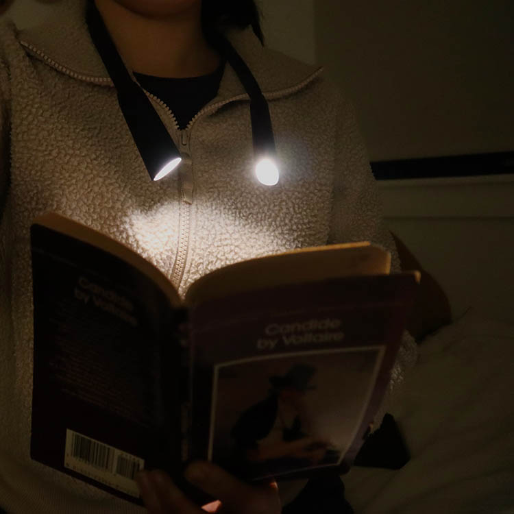 Neck lamp