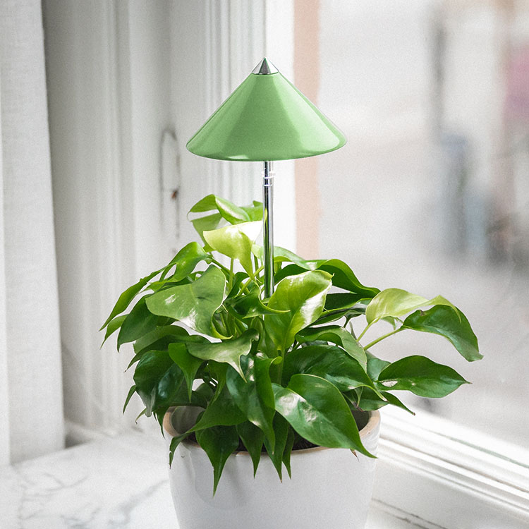 Plant lamp on spike 7W