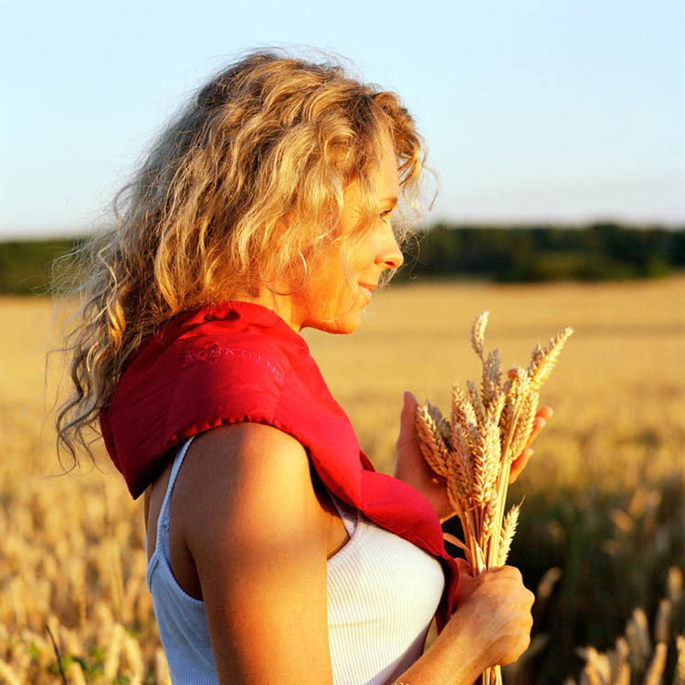 Wheat warmer heating belt