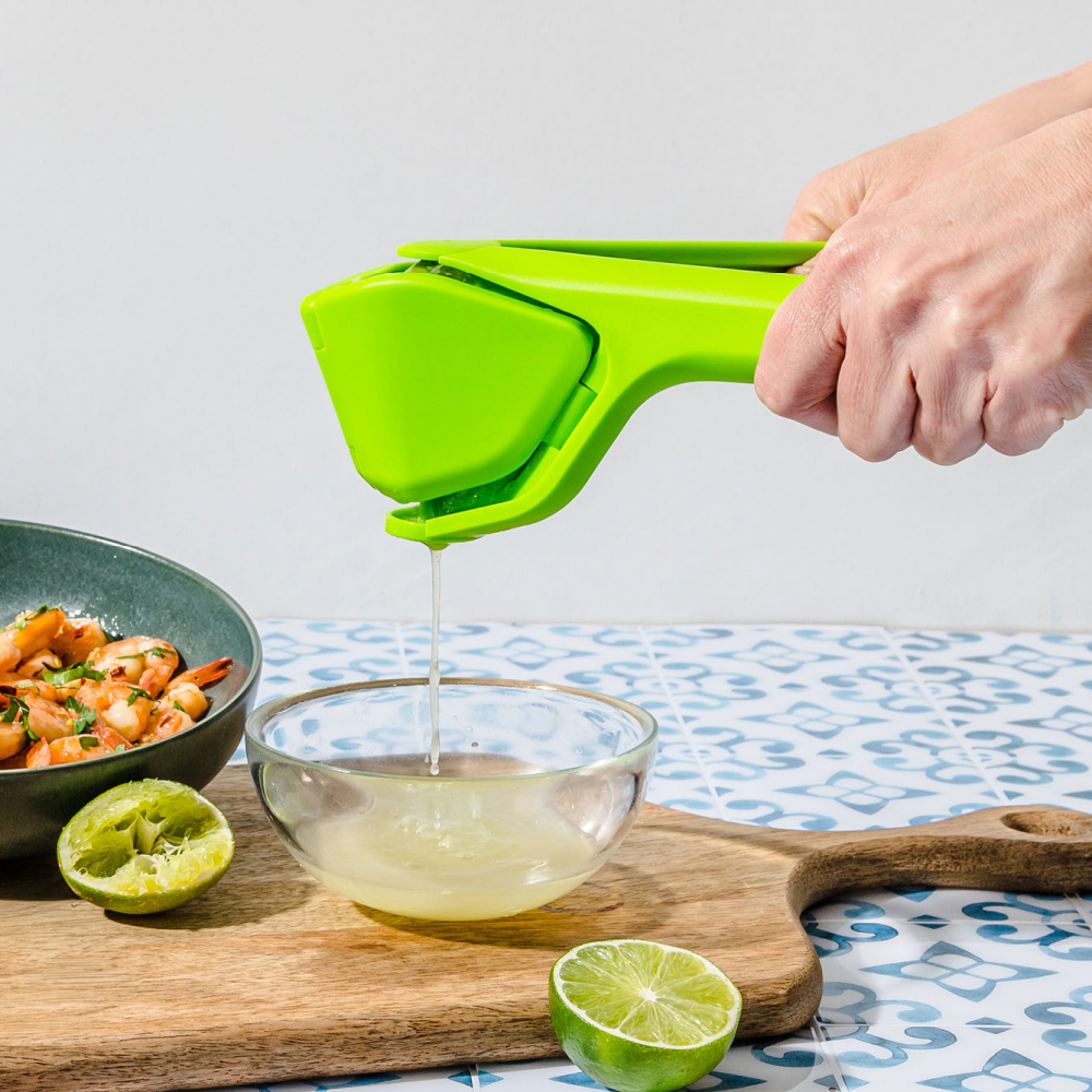 Citrus press