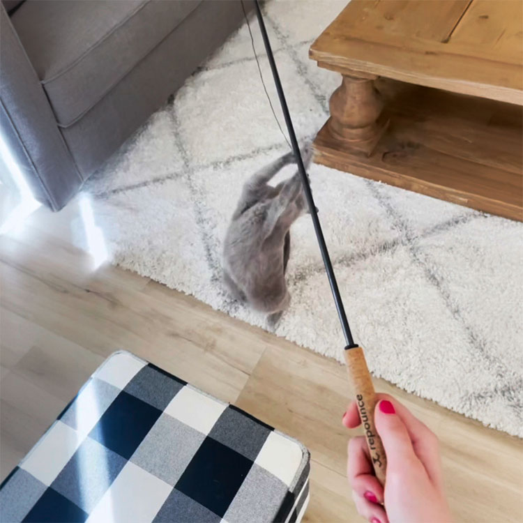 Durable cat toy