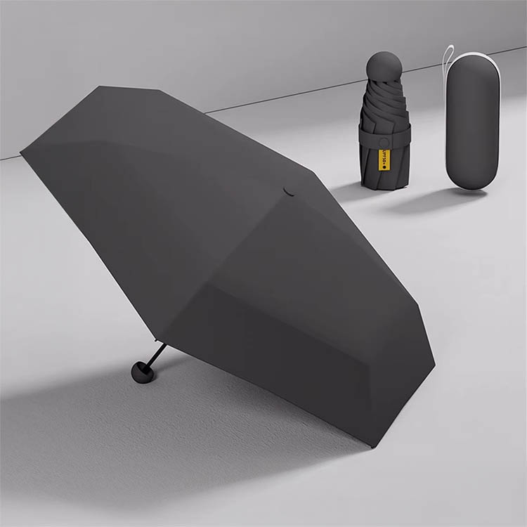Umbrella with waterproof case