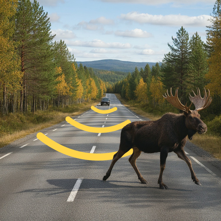 Wildlife deterrent for the car