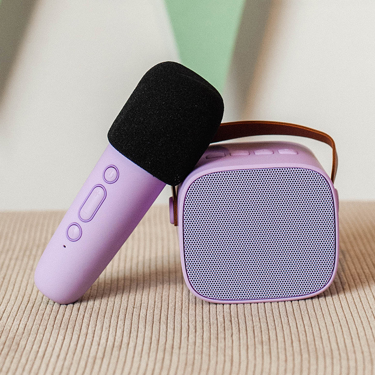 Portable karaoke set