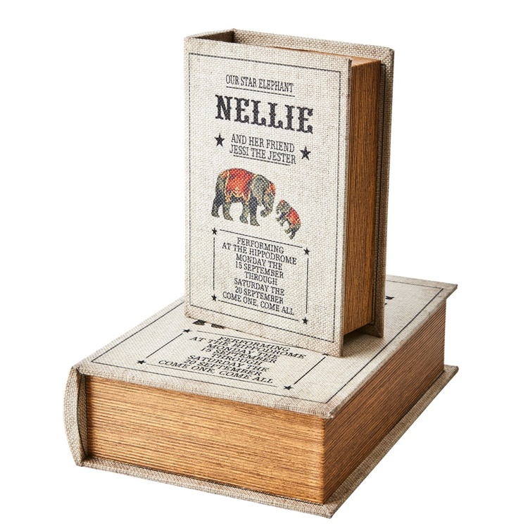 Hidden storage book box, small, Nellie