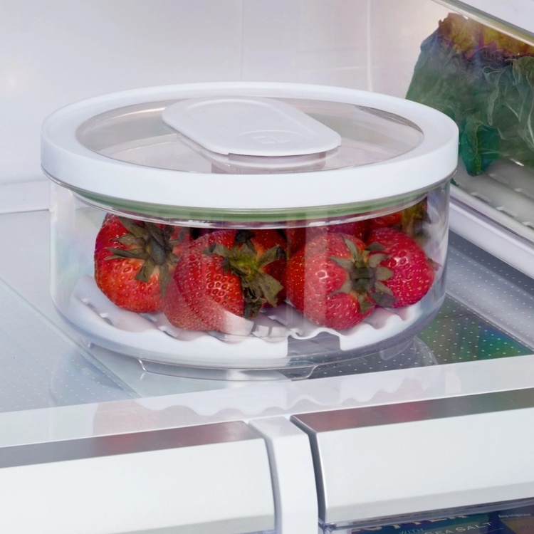 Food Storage, Anti-Microbial, FRESH SMALL PRODUCE BOWL, Ø 18,5 x H 9,5 cm, Clear / White