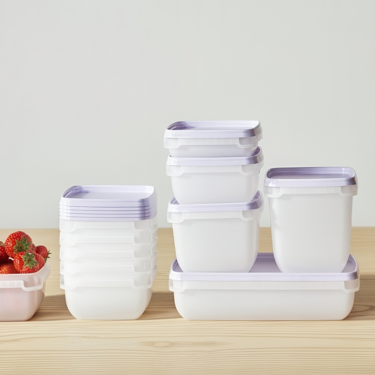 Freezer Boxes 0,75L, Stackable, Set of 4, SMARTSTORE FROST
