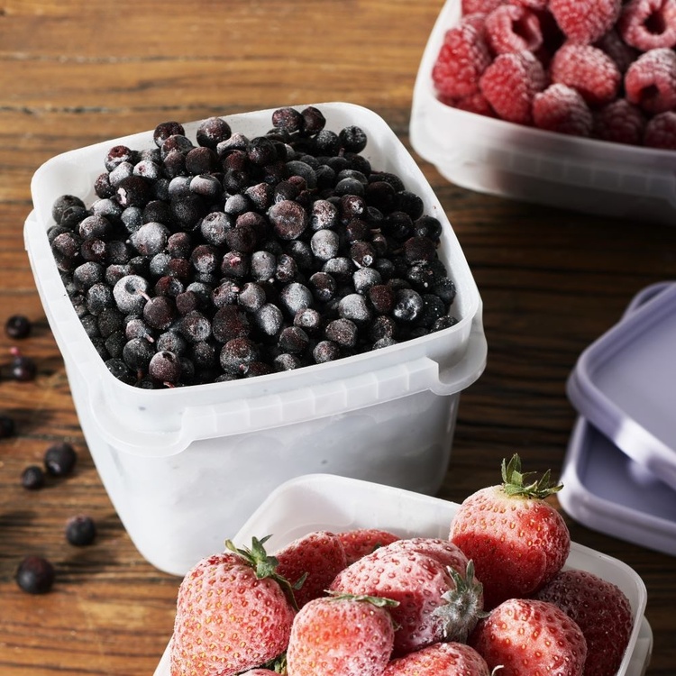 Freezer Boxes 0,75L, Stackable, Set of 4, SMARTSTORE FROST