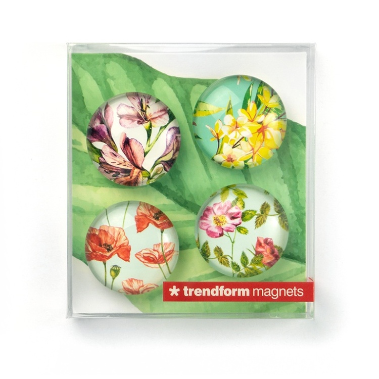 Magnets, Set of 4, FLOWER, Ø 3,5 cm, Multcolour