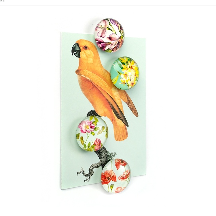 Magnets, Set of 4, FLOWER, Ø 3,5 cm, Multcolour