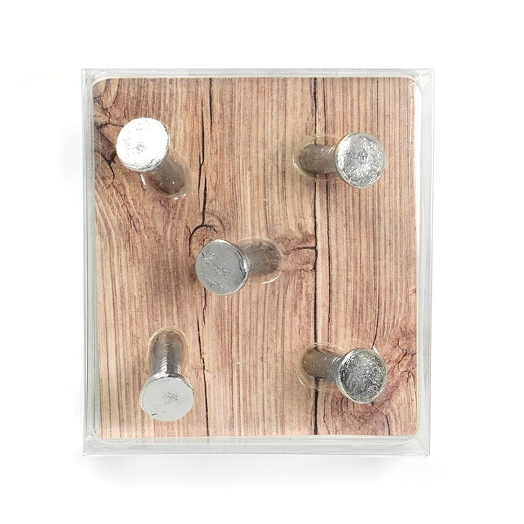 Magnets, set of 5, NAIL, Ø 1,5 x H 2,8 cm, silver