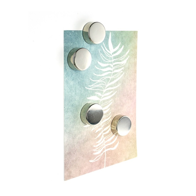Magnets Extra Strong, Set of 4, SILVER, Ø 2,3 x H 0,9 cm, Silver