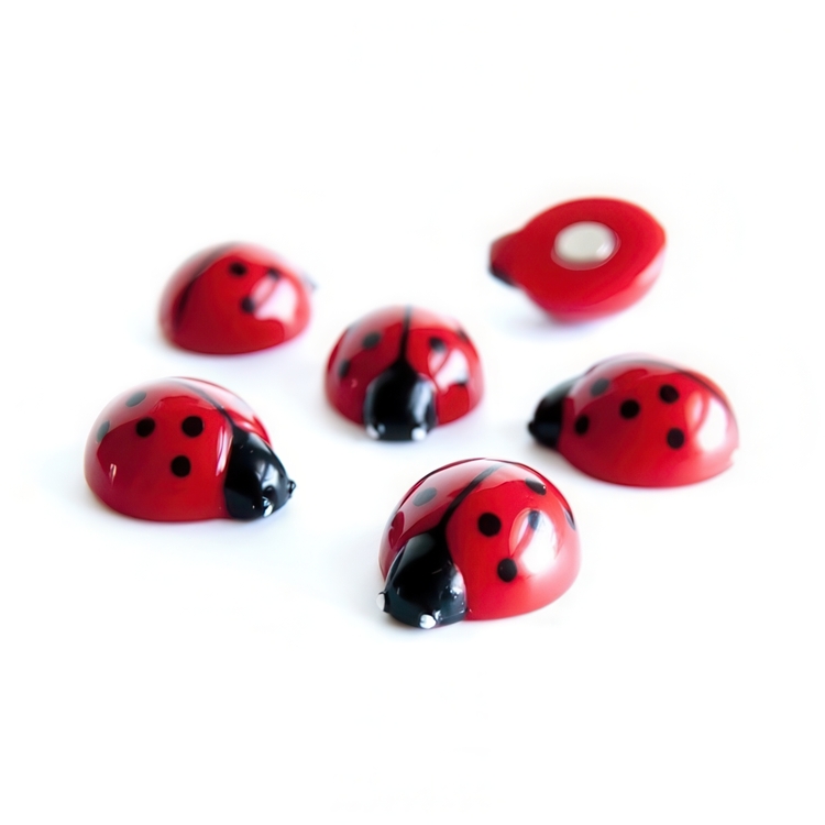 Magnets LADYBUG, set of 6, red