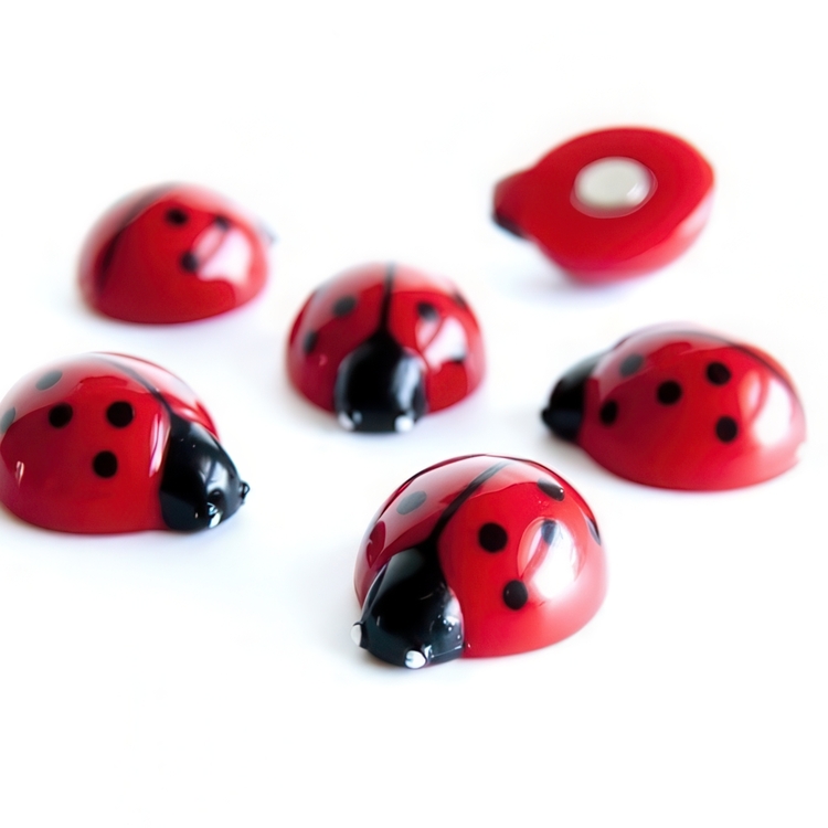 Magnets LADYBUG, set of 6, red