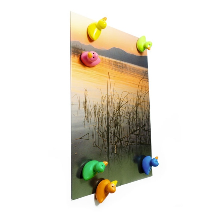 Magnets, Colourful Ducks, Set of 6, DUCK, Assorted