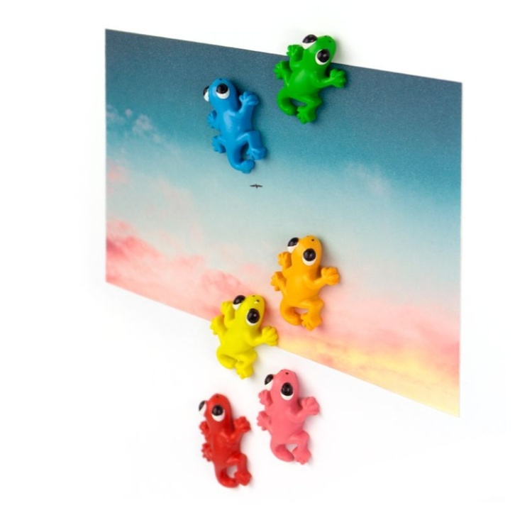 Magnets, Set of 6, GECKO, 3,4 x 2,2 cm, assorted