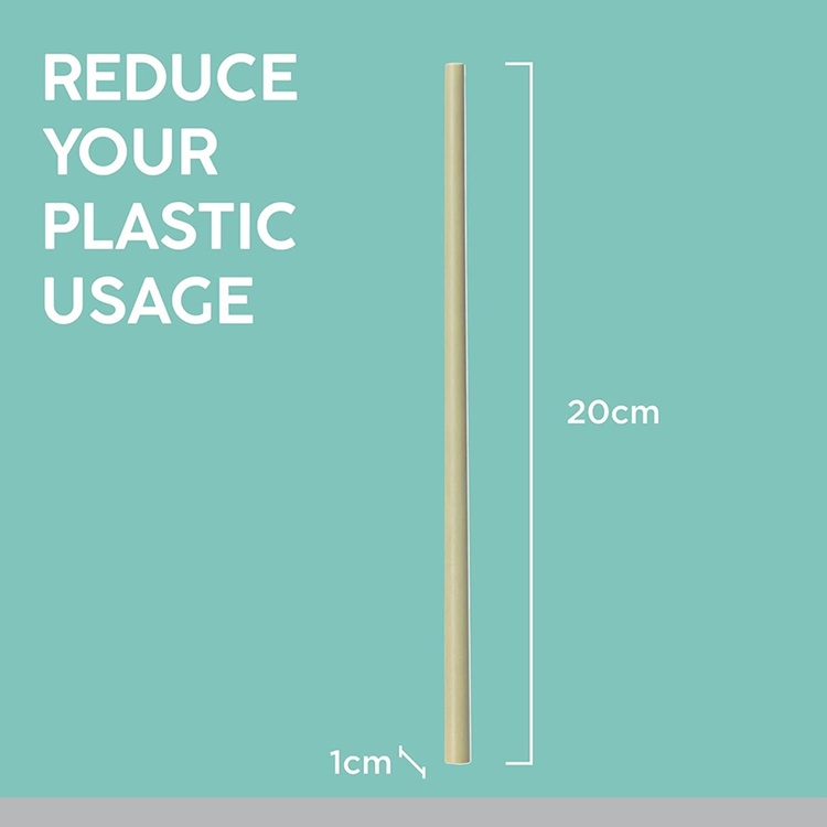 Drinking Straws, reusable, with brush, TYPHOON BAMBOO, 20 cm, Beige