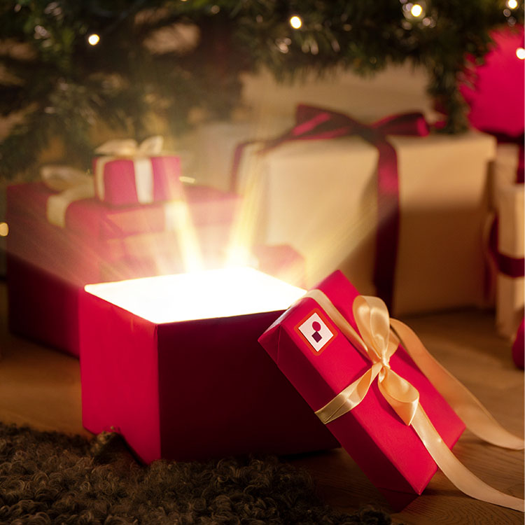 Christmas Gifts by Interest