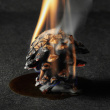 Fireplace pine cones