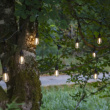 String lights with hanging lightbulbs