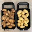 Potato scrubber Potturi