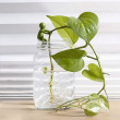 Plant support for cuttings 3-pack