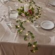 Battery operated light string with ivy