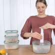 Vacuum boxes with glass lids, set of 4