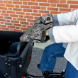 Handlebar mitts for cargo bikes