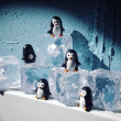 Magnets, penguins, PINGU, Set of 6, Black / White